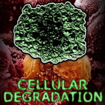 Chthonomonas Calidirosea - Cellular Degradation (2025)