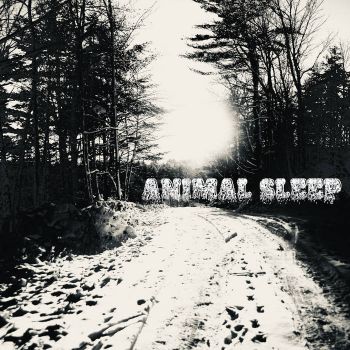 Animal Sleep - Animal Sleep (2025)