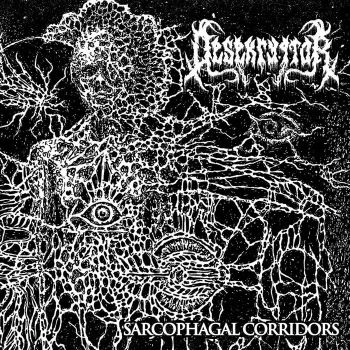 Desekryptor - Sarcophagal Corridors (2025)