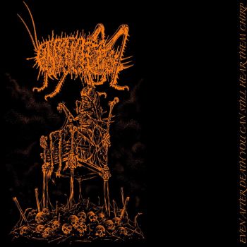 Pyometra - Even After Death You Can Still Hear Them Chirp (2025)
