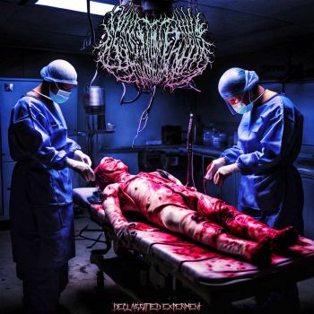 Sesosxangrianecrosisposmortemsscrial - Desclassified Experiment (2025)