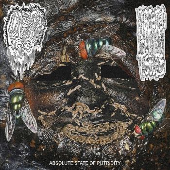 Fetal Deformimty / Digested Human Tissues - Absolute State of Putridity (2024)