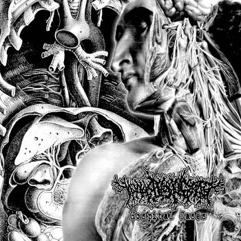 Thanatopsis / Morbo - Hospital Cases / Untitled (2025)