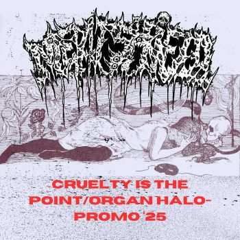 Meatshield - Cruelty Is the Point / Organ Halo (2025)