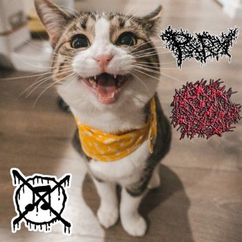 Polymyalgia Rheumatica / I Dont Like Gore I Prefer Kittens - Split (2025)