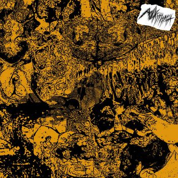 Polycythemia - Polycythemia (2025)