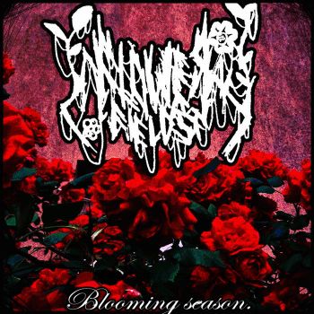 Flower Fields - Blooming Season (2025)