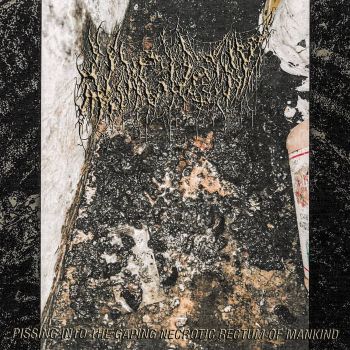Morgue Tar - Pissing into the Gaping Necrotic Rectum of Mankind (2025)