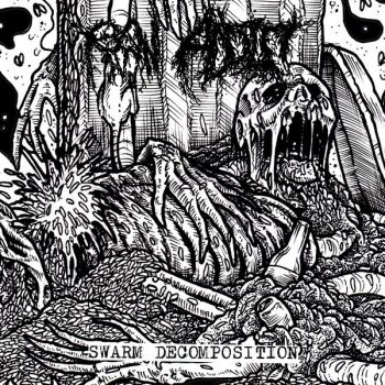 Raw Addict - Swarm Decomposition (2025)