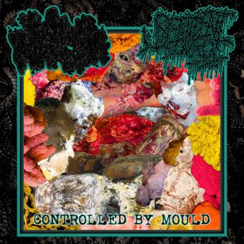 Myriapodologist / Sentient Rot - Controlled by Mould (2025)