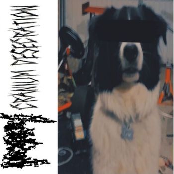 Lobotomisation - Cranium Desecration (2025)