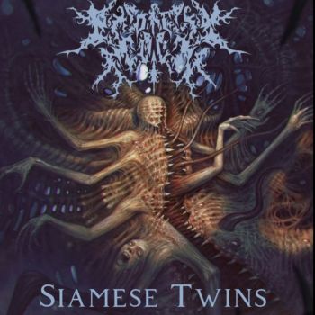 Immortaly Medlen - Siamese Twins (2025)