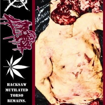 Ingest - Hacksaw Mutilated Torso Remains. (2025)