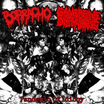 Borracho / Gangrene Discharge - Pandemic of Idiocy (2025)