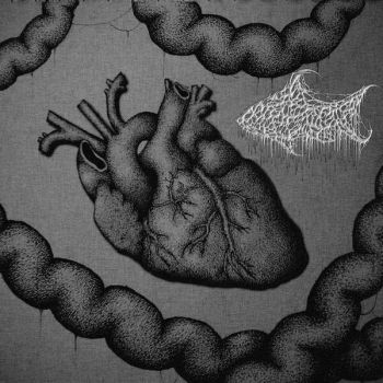 Smegalodon - More Gore por Favor (2025)