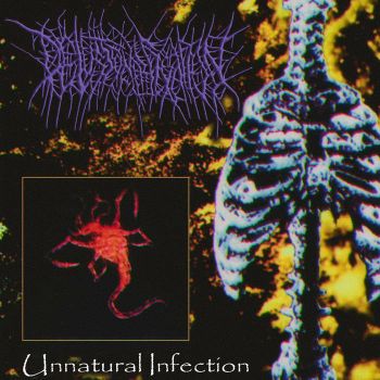 Delusional Fixation - Unnatural Infection (2025)
