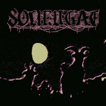 Solifugae - Solifugae (2025)