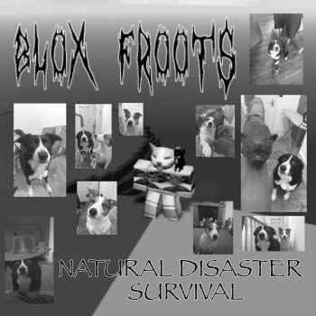 Blox Froots - Natural Disaster Survival (2025)