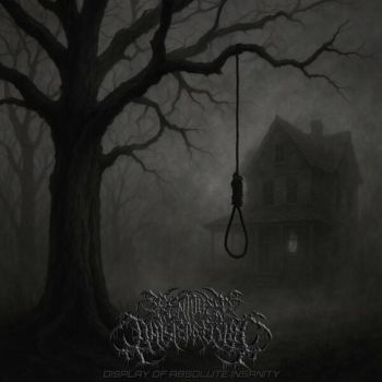 Bent Over Twisted & Fisted - Display of Absolute Insanity (2025)