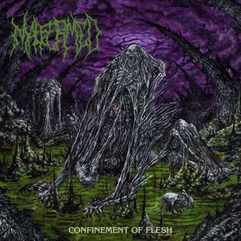 Malformed - Confinement Of Flesh (2025)