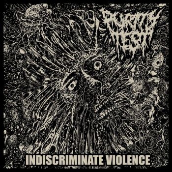 Purity Test - Indiscriminate Violence (2025)