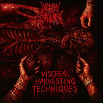 Mutilated Offspring - Visceral Harvesting Techniques (2025)
