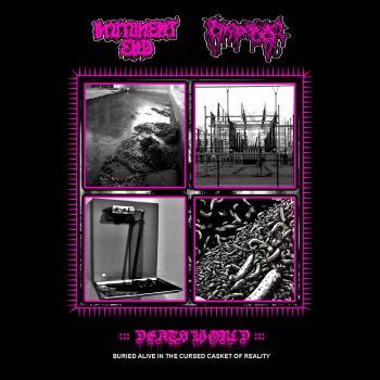 Обложка: Imminent End / Nyctophagia - Split (2025)