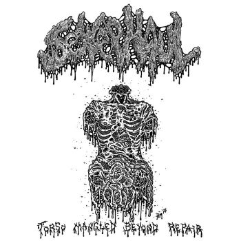 Обложка: Sewer Haul - Torso Mangled Beyond Repair (2025)