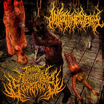 Обложка: Intestinectomy / Terminal Respiratory Secretions - Split (2025)