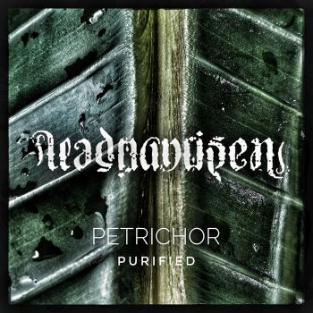 Обложка: Dead Man Risen - Petrichor Purified (2025)
