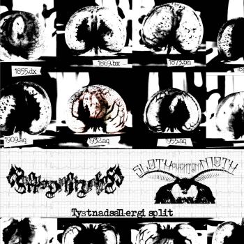 Horornisdiphonevalley / SlothPhantomMoth - Tystnadsallergi (2021)