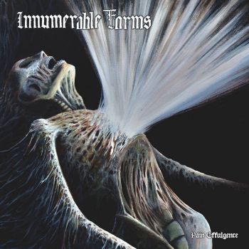 Обложка: Innumerable Forms - Pain Effulgence (2025)