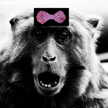 Обложка: Glitterbomb - The Mince Monkey (2025)
