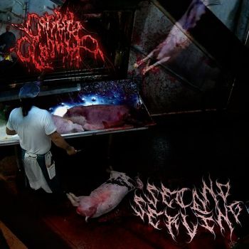 Обложка: Corpse Cleanup - Second Serving (2025)