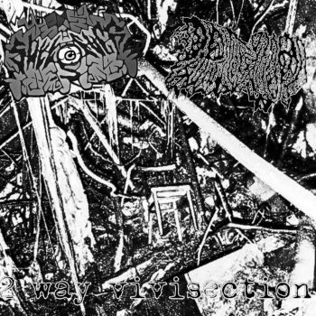 Обложка: SheepFucker / Parasitic Vermivore - 2 Way Vivisection (2025)