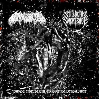 Обложка: Gargleguts / StillBorn SweatShop - Post Mortem Exanguination (2025)