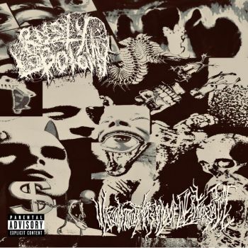 Rusty Lobotomy - Wiping Till There's Blood Every Fucking Time (2025)