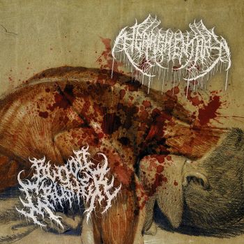 Herrementari / Bloodcrusher - Split (2025)