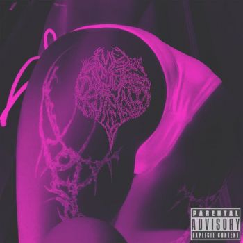 My Stupid Vagina - My Stupid Vagina (2025)