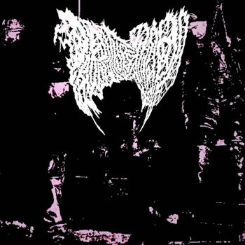 Parasitic Vermivore - Descent (2025)
