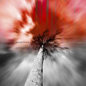 Обложка: Apoptose - Die Zeit und die Dunkelheit (2025)