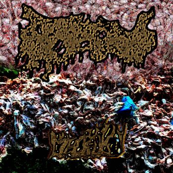 Обложка: Pneumononecropsy - Necropsy (2025)