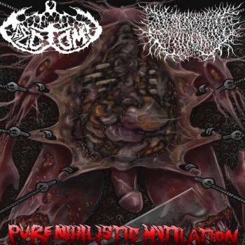 Обложка: Erectomy - Pure Nihilistic Mutilation (2025)
