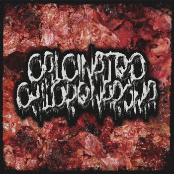 Обложка: Calcinated Children Aroma - Calcinated Children Aroma (2025)