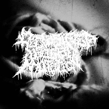 Обложка: Declassified Vaginal Mutation - The Decaying of Rhinorrhea (2025)