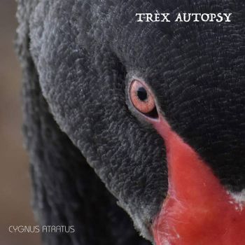 Обложка: T-Rex Autopsy - Cygnus Atratus (2025)