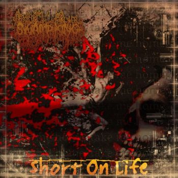 Swamp King - Short on Life (2025)