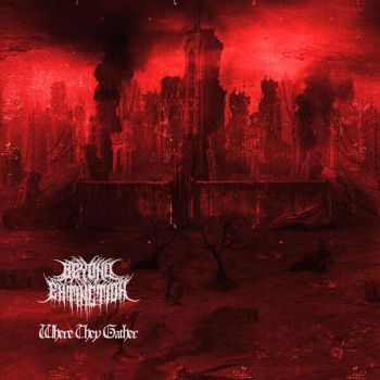 Обложка: Beyond Extinction - Where They Gather (2025)