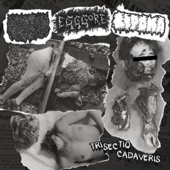 Обложка: Liquid Viscera / Egggore / Lipoma - Trisectio Cadaveris (2025)