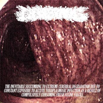 Обложка: Cobblestoning - Degradation due to Constant Exposure to Accute Toxoplasmosic Infection as a result of Compulsively Consuming Fresh Feline Faeces (2025)